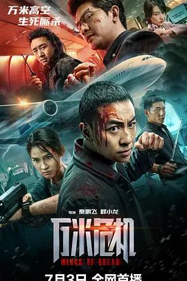 《哥布林》海报